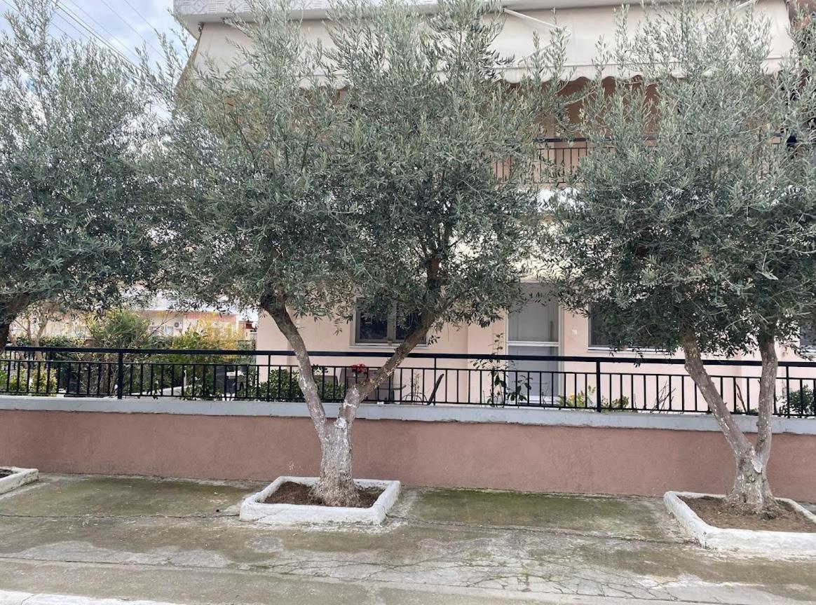Olive Inn City Dırama Dış mekan fotoğraf